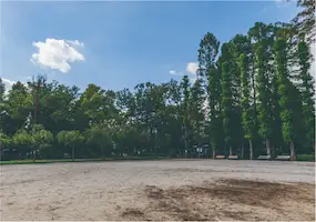別所沼公園 風景1