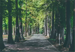 別所沼公園 風景2